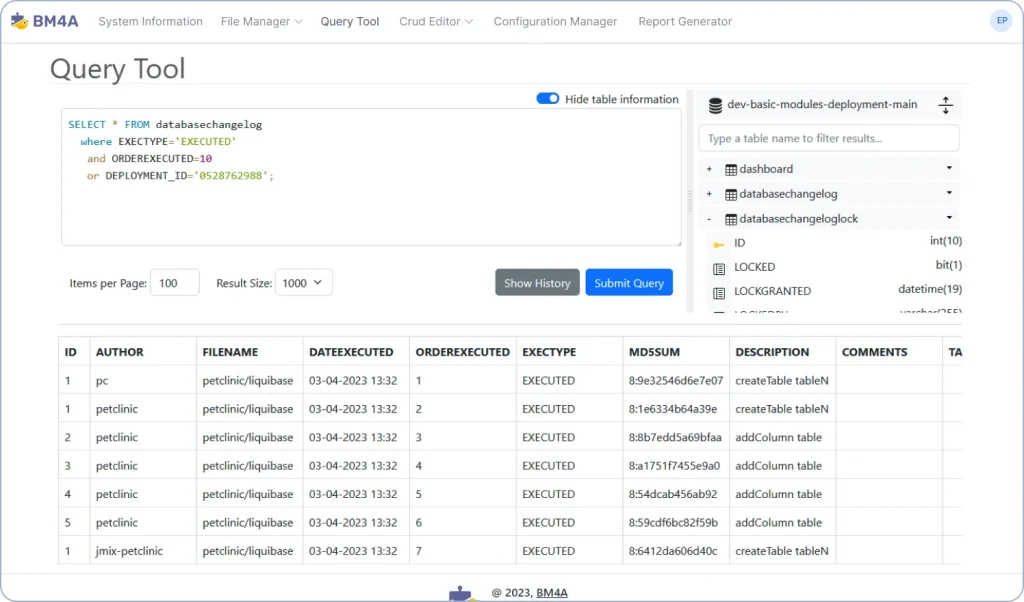 Custom Web Application Development with BM4A Ready-made Modules. Individualized Accounting Platforms.