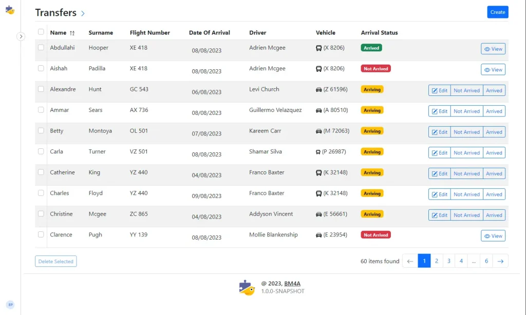 Airport transfer system