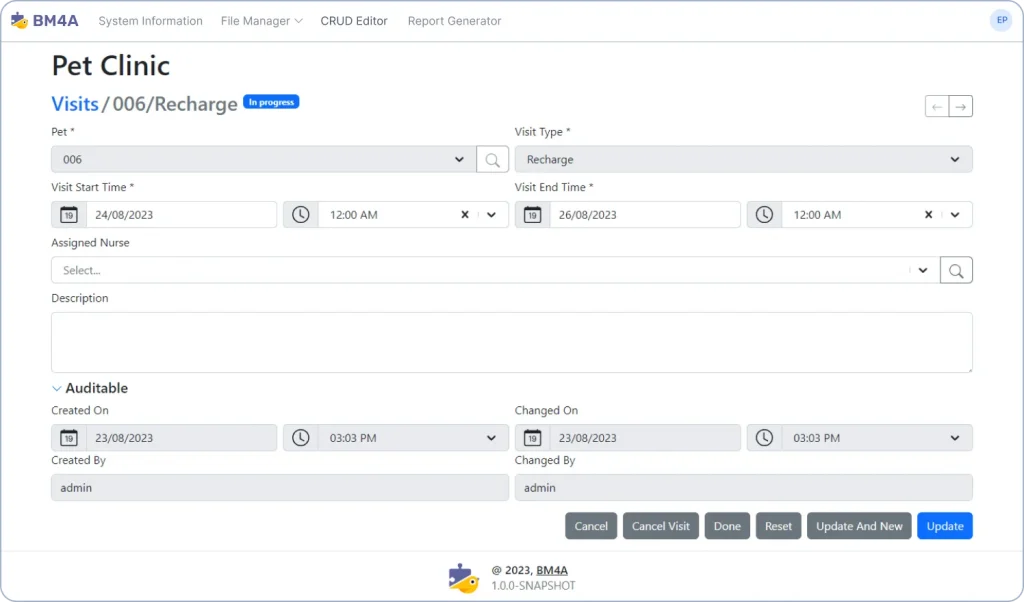 Custom Web Application Development with BM4A Ready-made Modules. CRUD Editor.