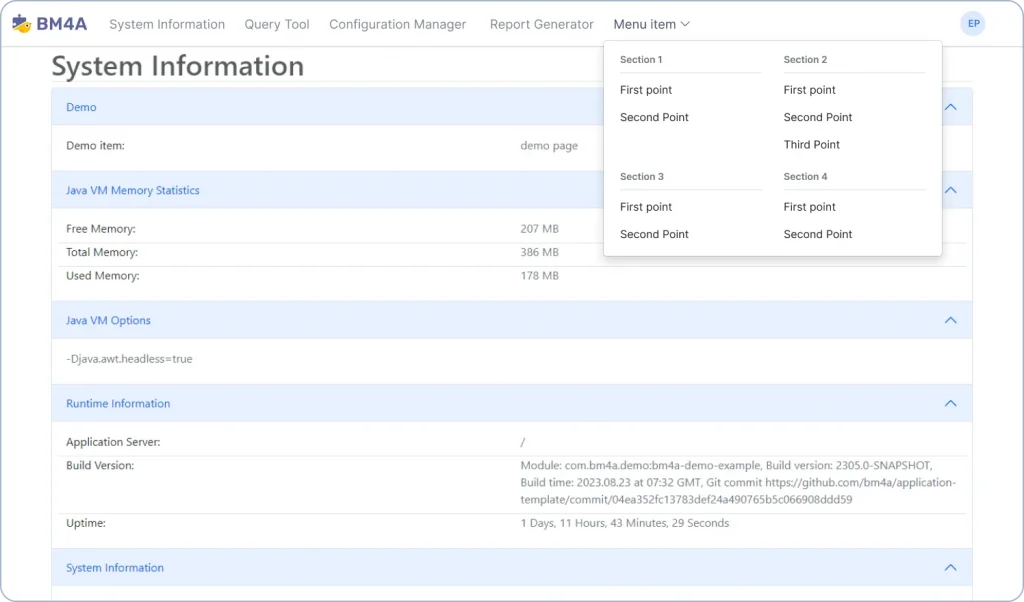 Custom Web Application Development with BM4A Ready-made Modules. System Information.