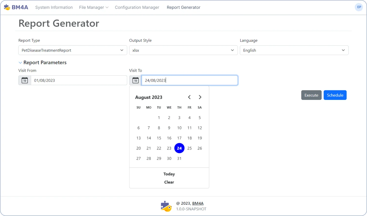 Custom Web Application Development with BM4A Ready-made Modules. Report Generator.